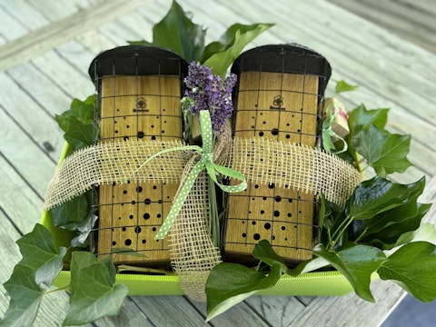 WiBiNi mit Schönheitsfehler