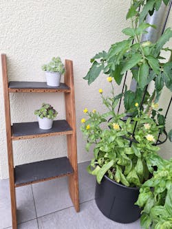 Bienenleiter Stairbee