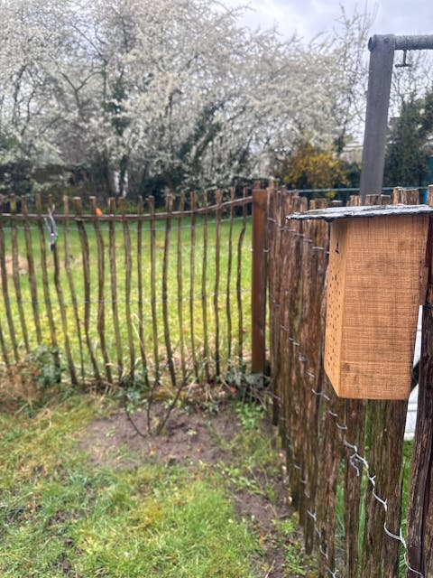 MiniBee - Dein [mini] Naturkino