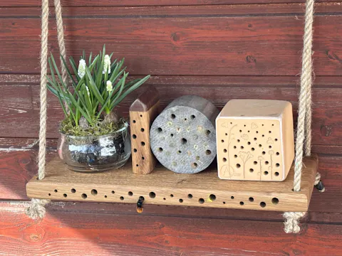 MiniBee - Dein [mini] Naturkino