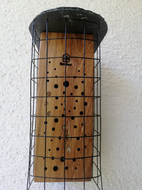 WiBiNi mit Schönheitsfehler