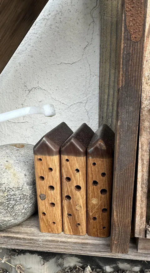 MiniBee - Dein [mini] Naturkino