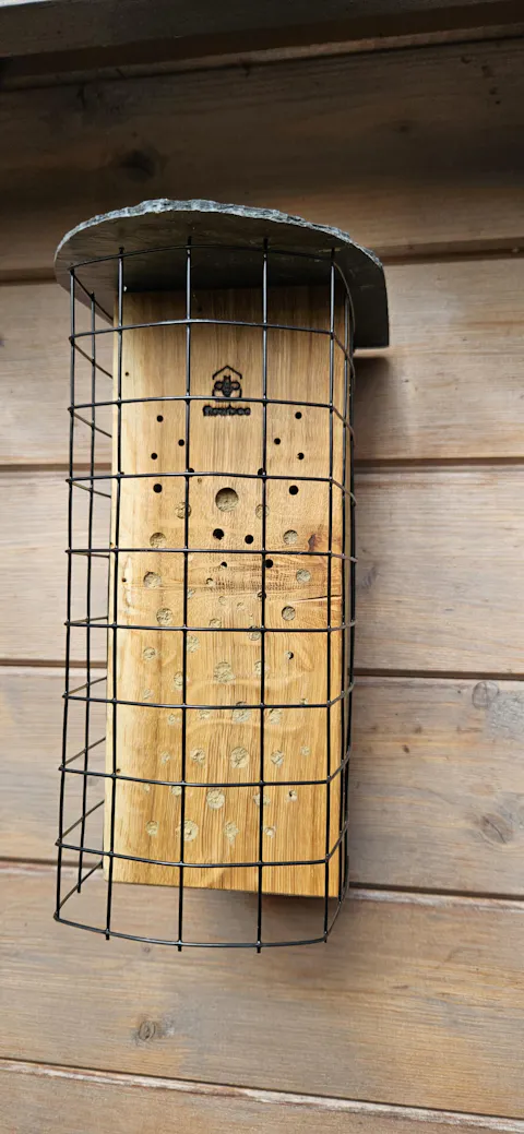 Vogelschutz WiBiNi