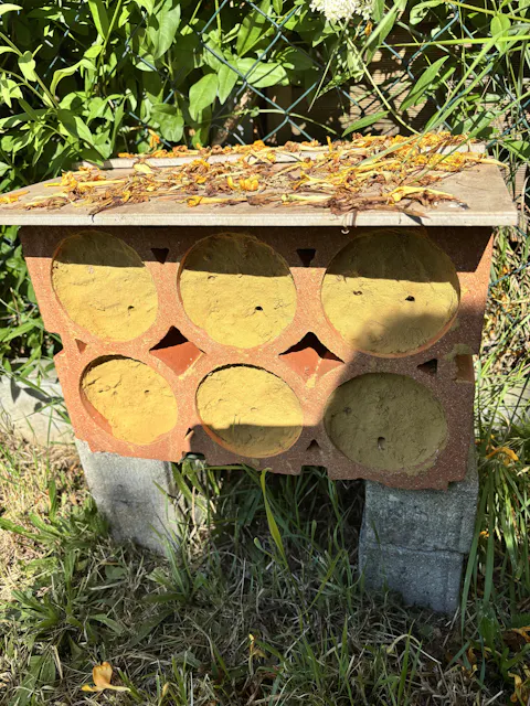 Steilwandsubstrat (22,5kg)