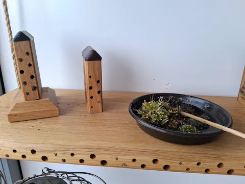 MiniBee - Dein [mini] Naturkino