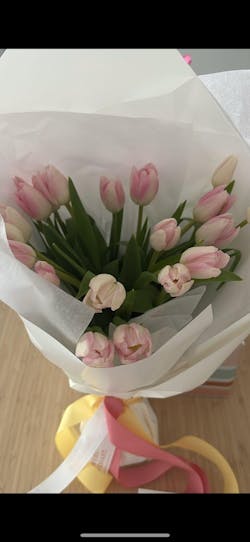 Tulips