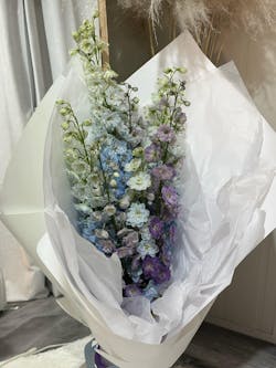 Delphinium Bunch