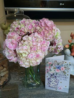 Hydrangea En Masse