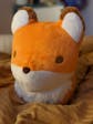 Bowie the Fox