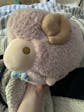 Melon the Pink Sheep
