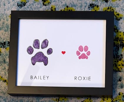 Pet Nose Impression 'Kit' for Multiple Pets | Easy for More than