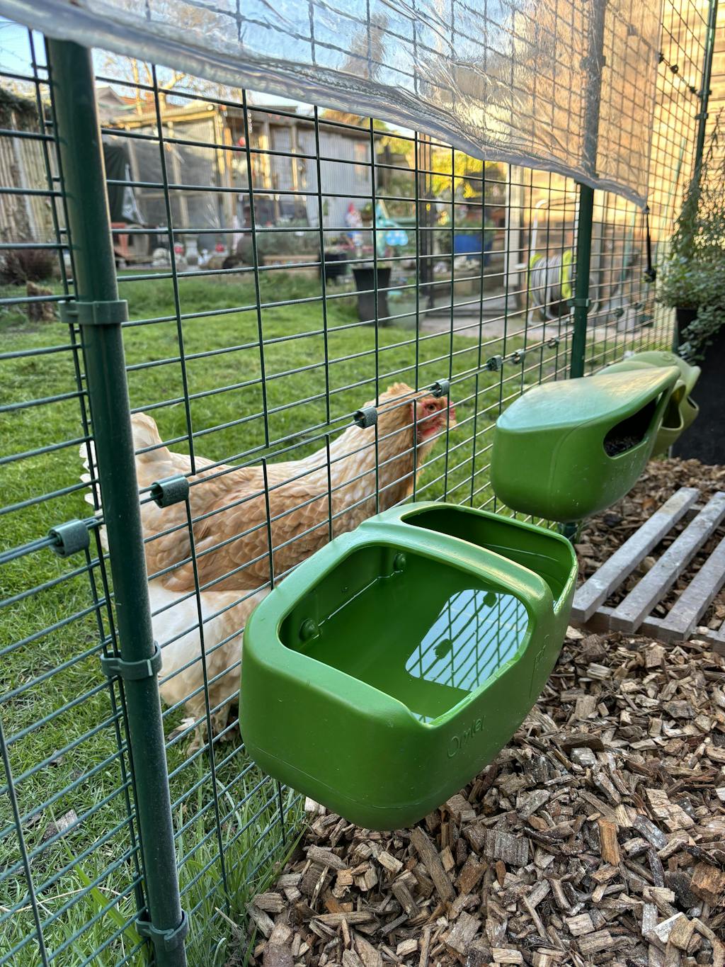 Hardwood Woodchip for Chicken Runs, 10 bags Wood Chip from Flyte so Fancy
