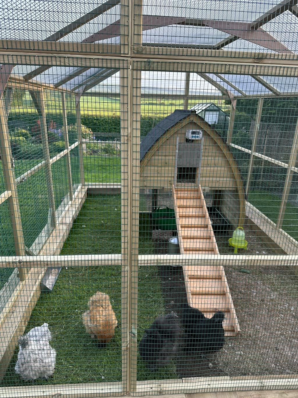 Poultry Protection Pens | UK made Walk in Chicken Runs