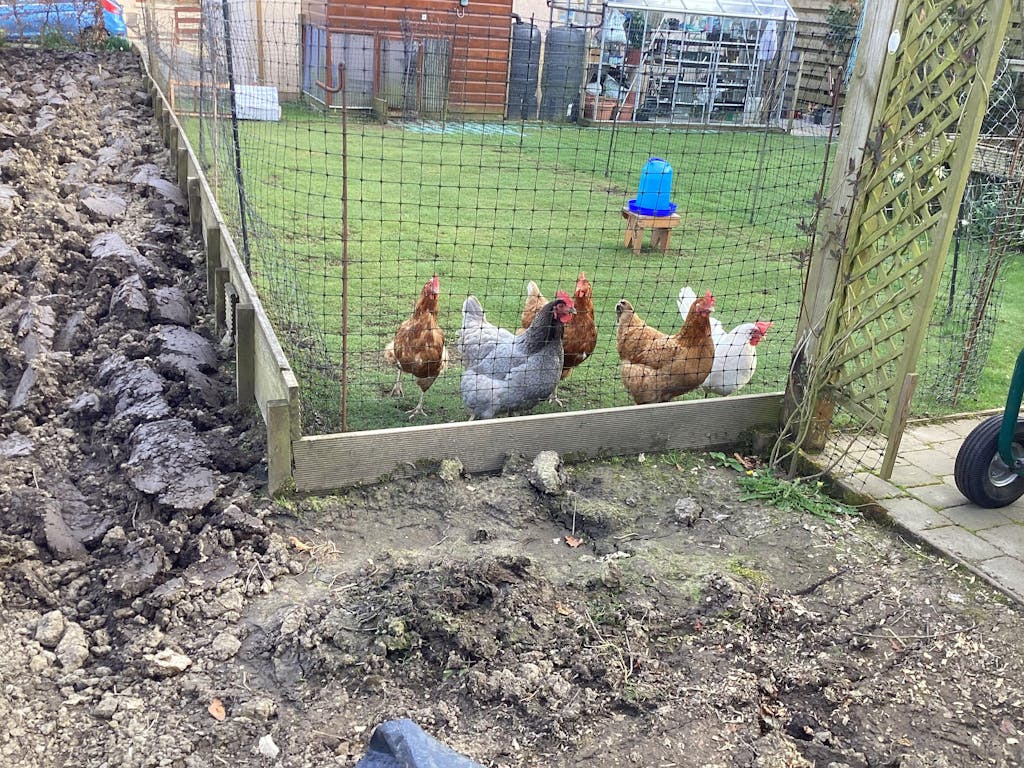 Poultry Shield Cleaner & Sanitiser for Chicken Coops Red Mite