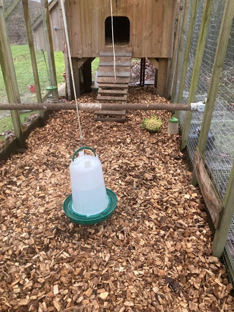 Hardwood Woodchip for Poultry Runs