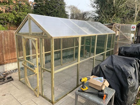 Junior Poultry Protection Pens