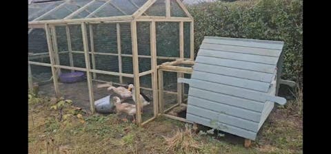 Mating Panels for Junior Protection Pens