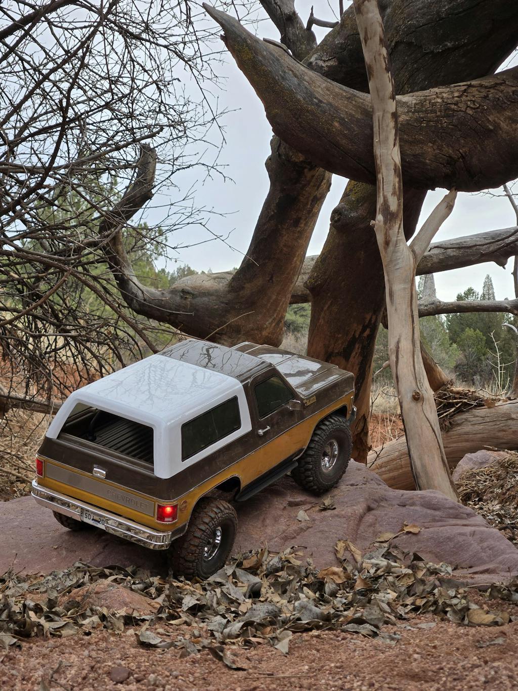 1/10 K5 Blazer RC Crawler | 2-Speed, Locking Diffs | FMS Hobby