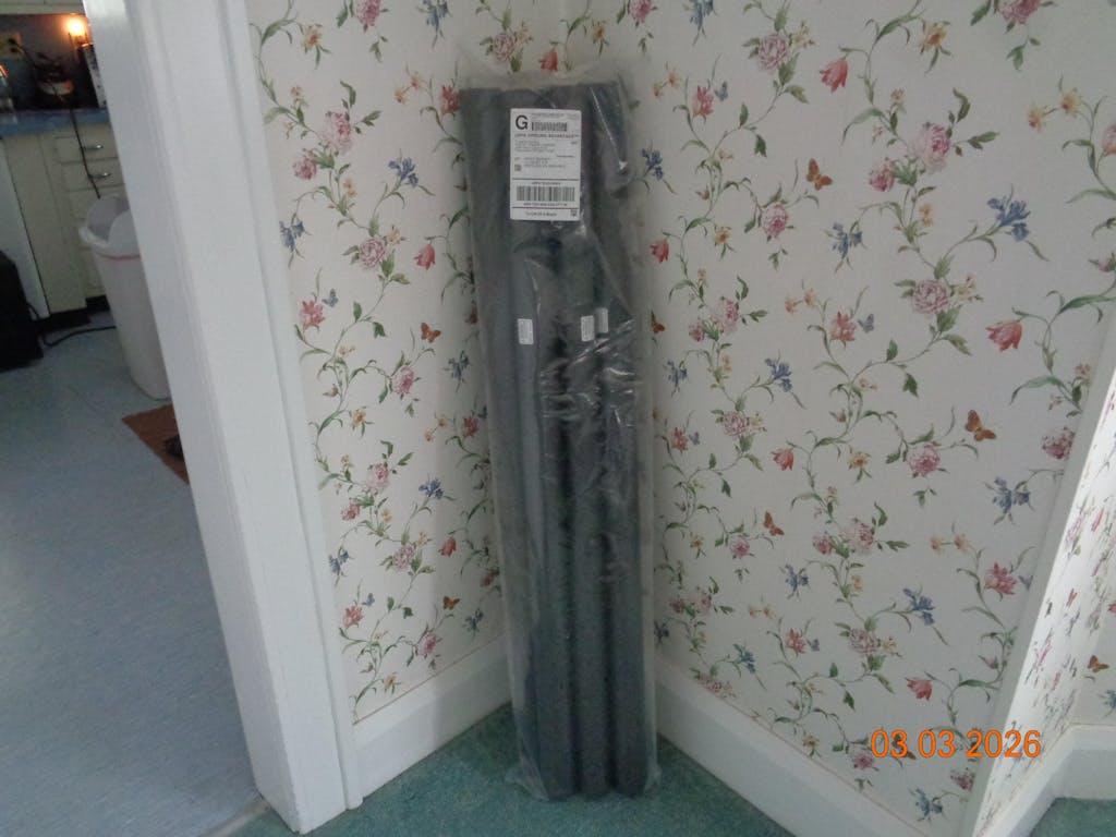 Oodles of Noodles Black - 6 Pack