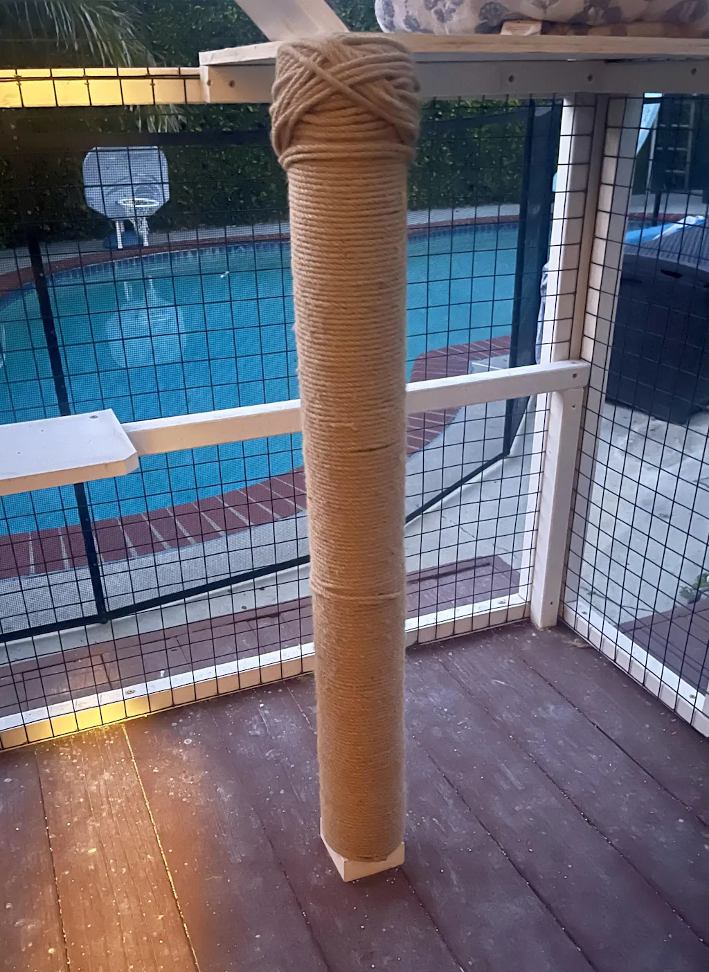 Large Clamp Foam Yellow - One, Three, Twelve Count