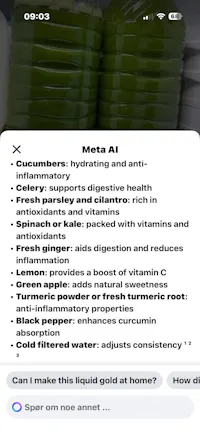 SGN Interiørfolie - Mosegrønn SCB4 - 10 meter