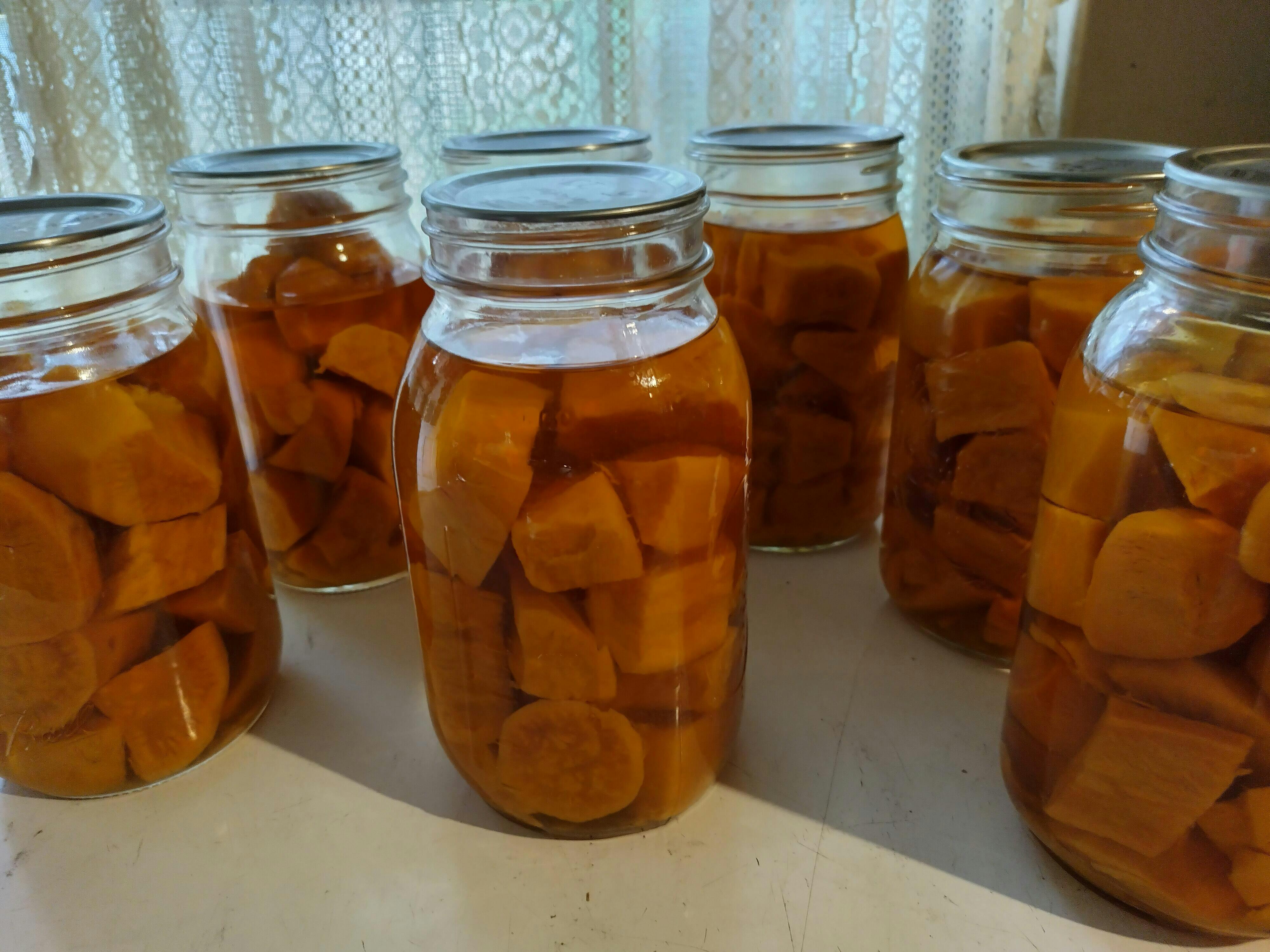 ForJars 12 Regular Mouth Canning Lids + 12 Bands ForJars Canada