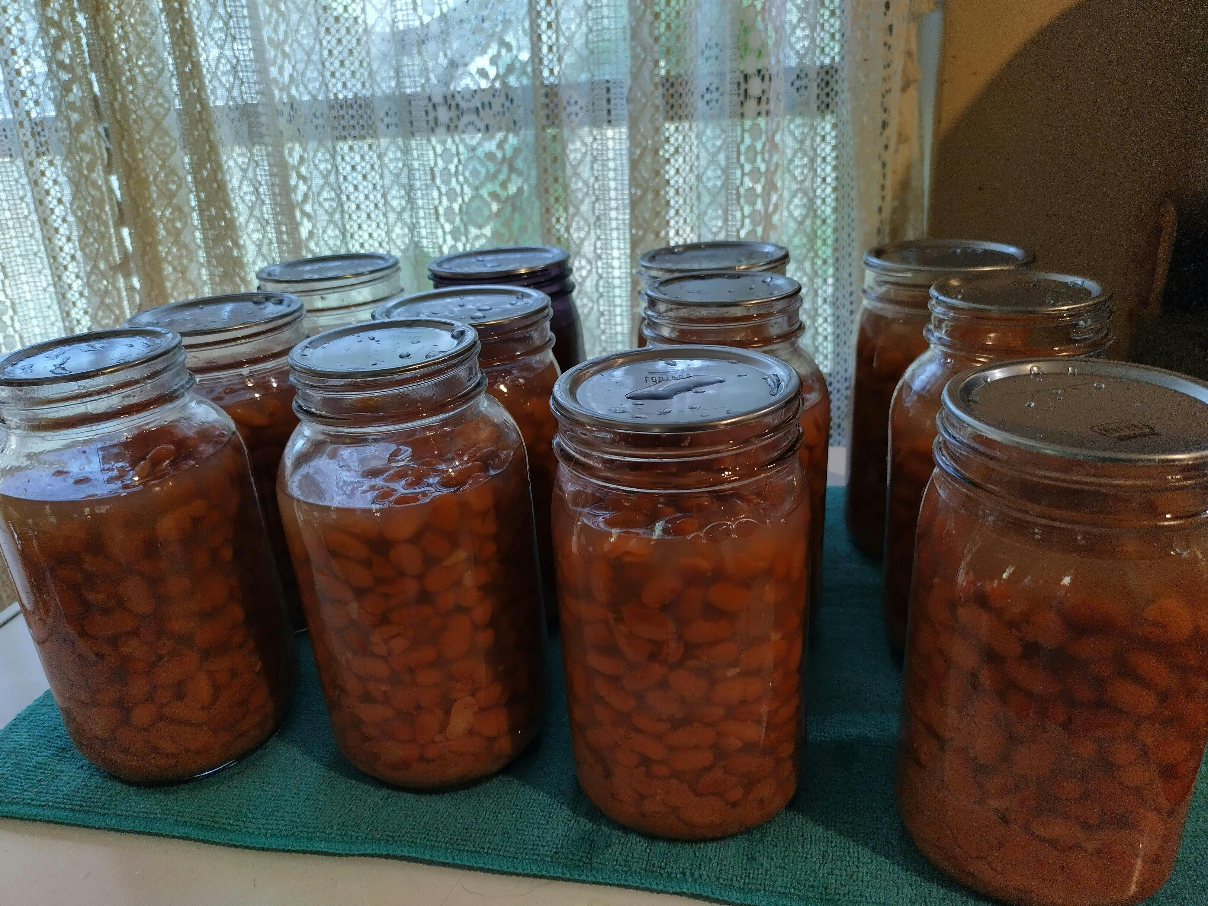 ForJars 12 Regular Mouth Canning Lids + 12 Bands ForJars Canada