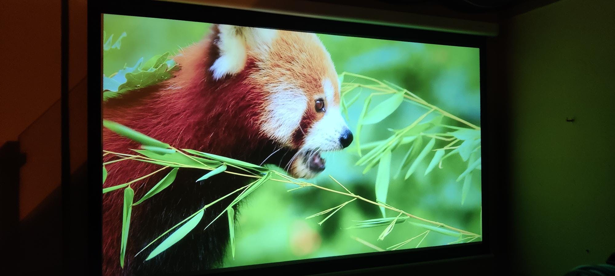 K*A様 Xming Page One プロジェクター本体 スタンド付き Xming Page One | World's First Google TV LCD Projector with