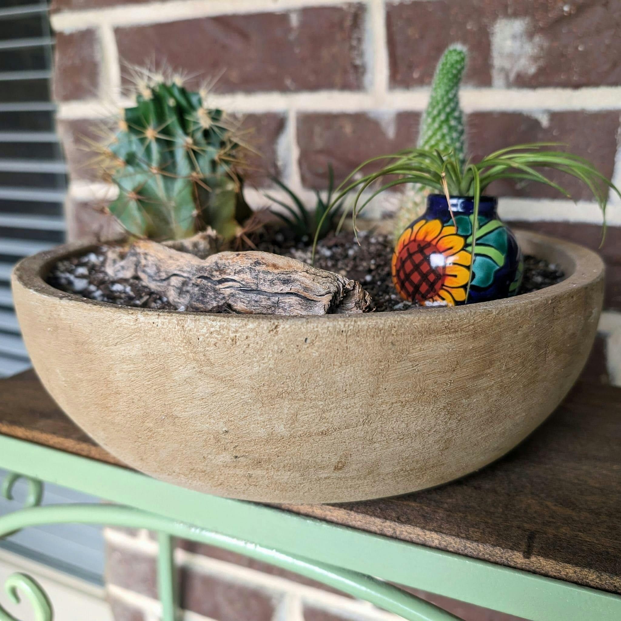 Terrace Bowl Small Concrete Planter - Campania
