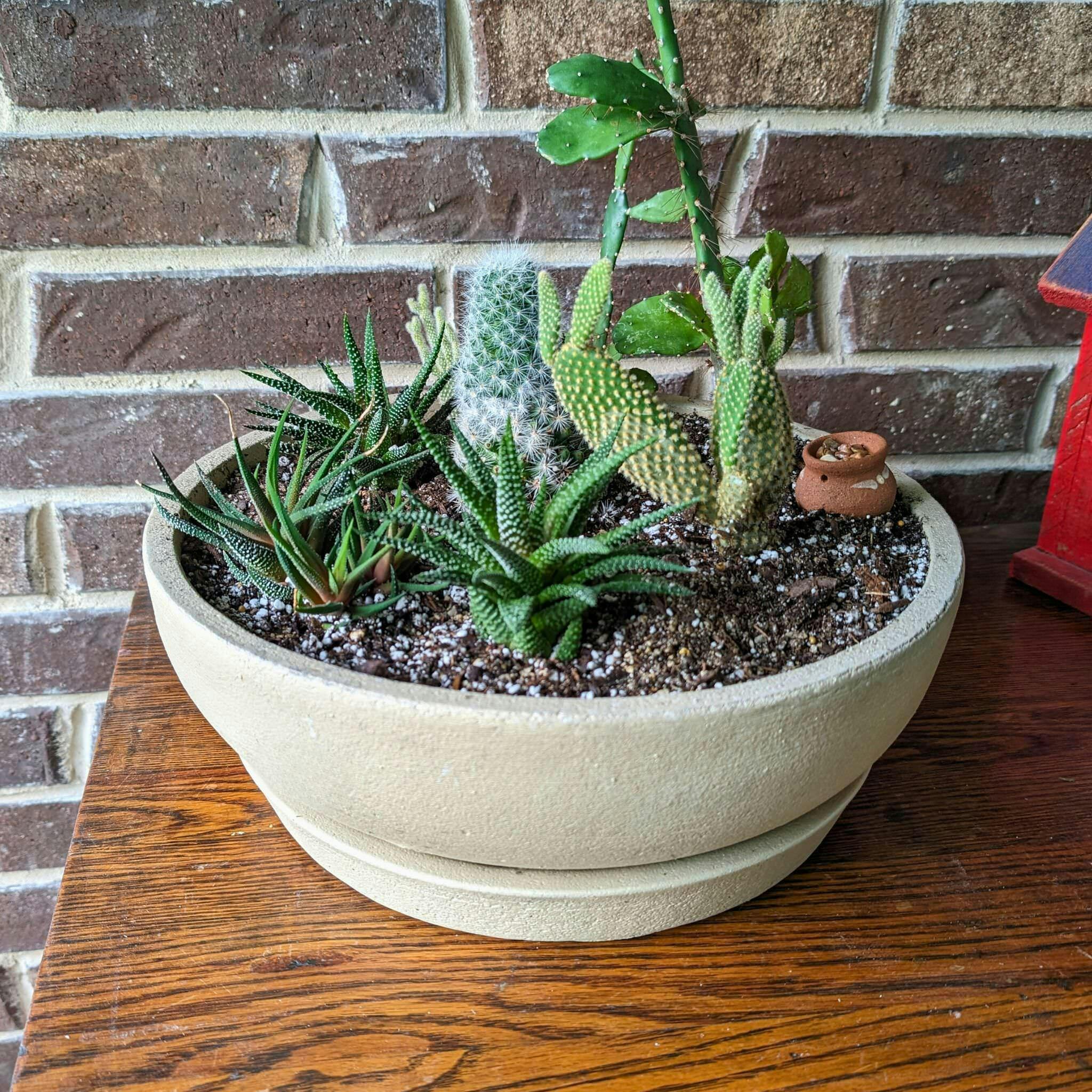 Concrete Planter Saucers by Campania | Fountainful