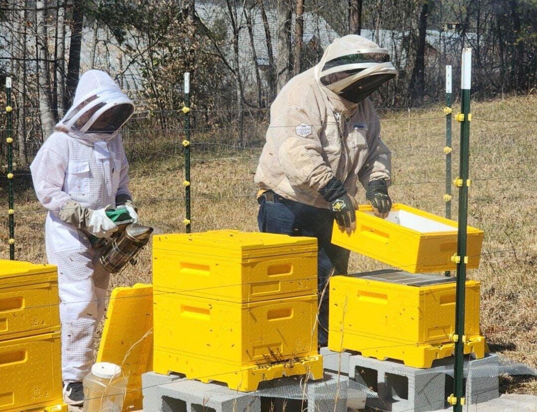 アイドル CUBERS PREMIUM BOX 2015-2024 アイドル CUBERS PREMIUM BOX 2015-2024 NEWS】結成から約9年を