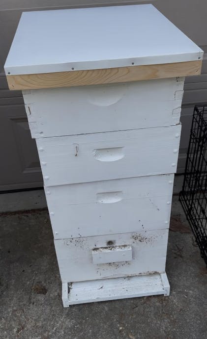 8-Frame Cypress Metal Capped Telescoping Cover – Foxhound Bee Company