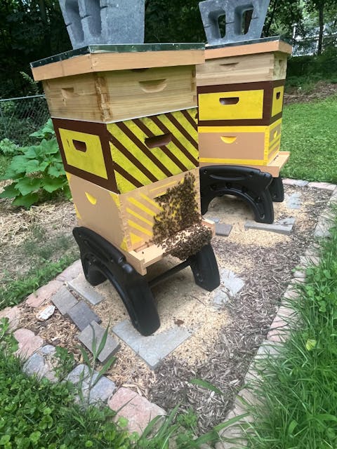 10-Frame Cypress Deep 9 5/8-Inch Brood Box