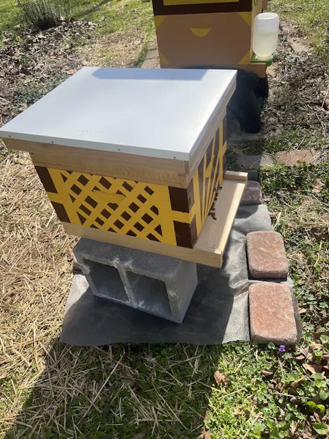 5-Frame Cypress Medium 6 5/8-inch Super Box – Foxhound Bee Company