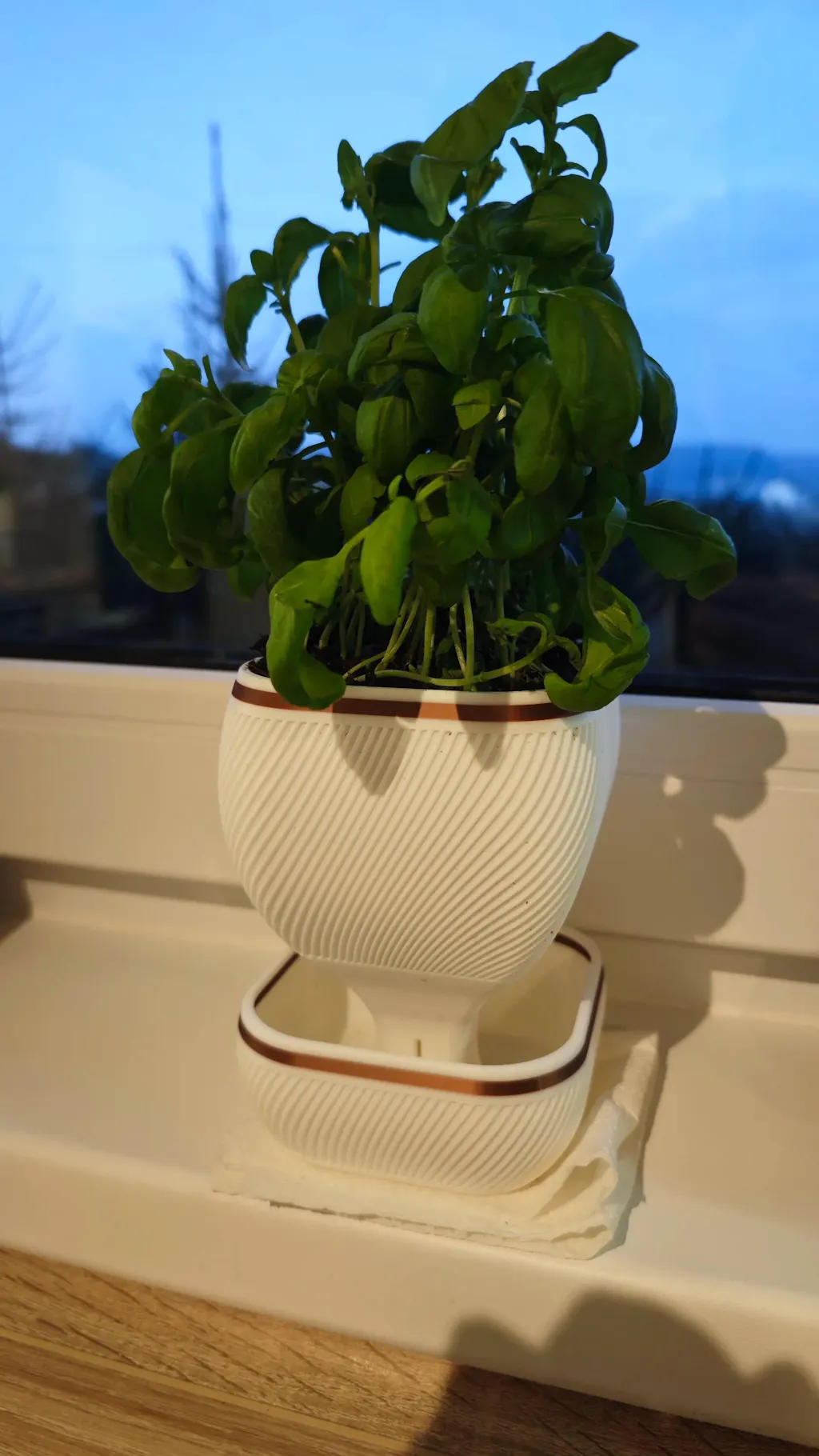 Self-Watering Modern Planter with Decorative Gold Trim – Smart Drainage System for Healthy Plants | Framora