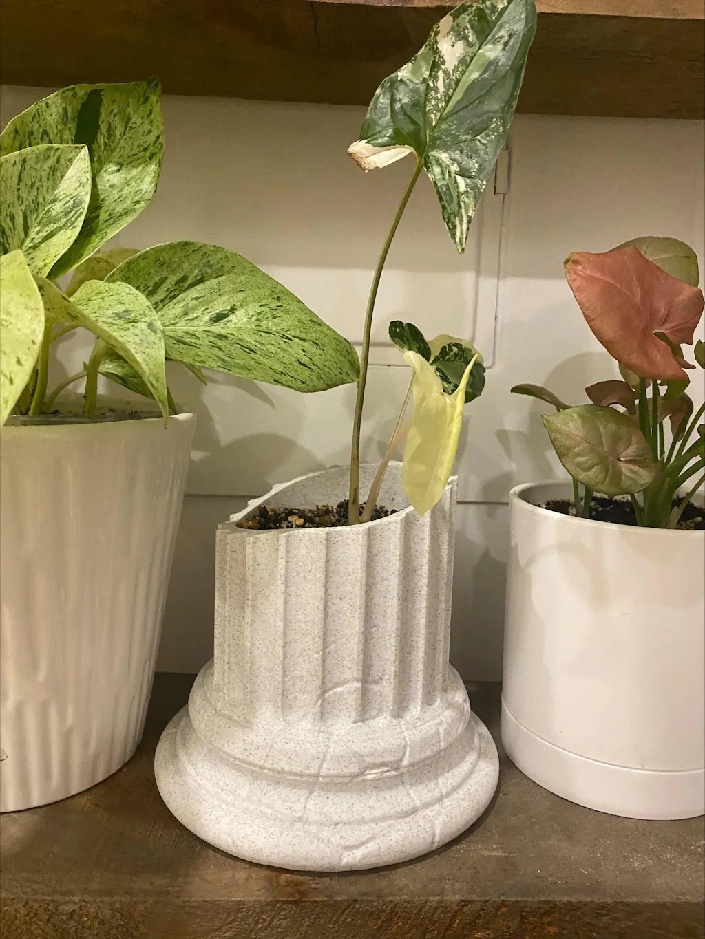 Greek Pillar Planter for Desks & Shelves – Smooth & Ruins Variant | Premium Finish