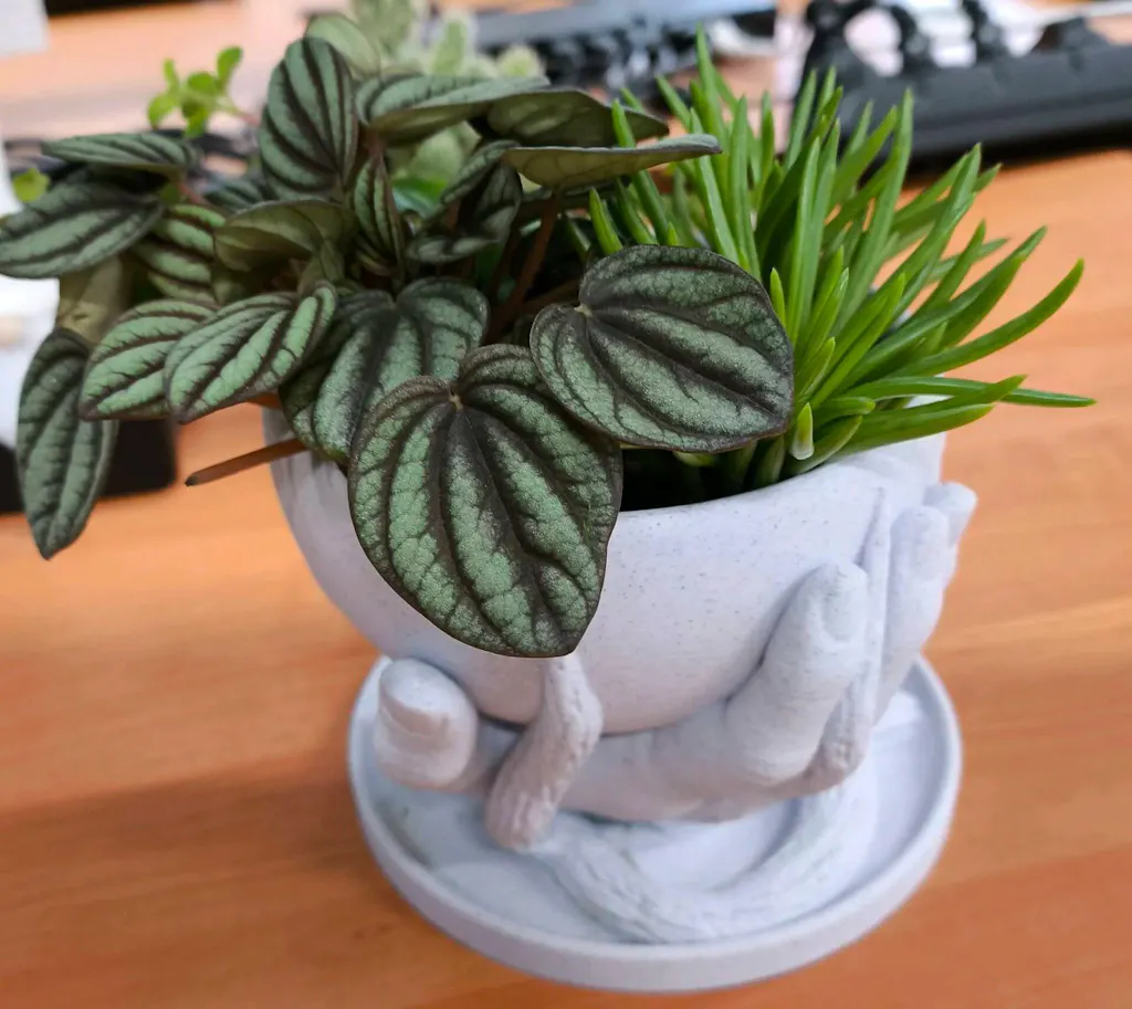 Hand Holding Marble Planter – Artistic Indoor Pot for Desks & Shelves | Framora