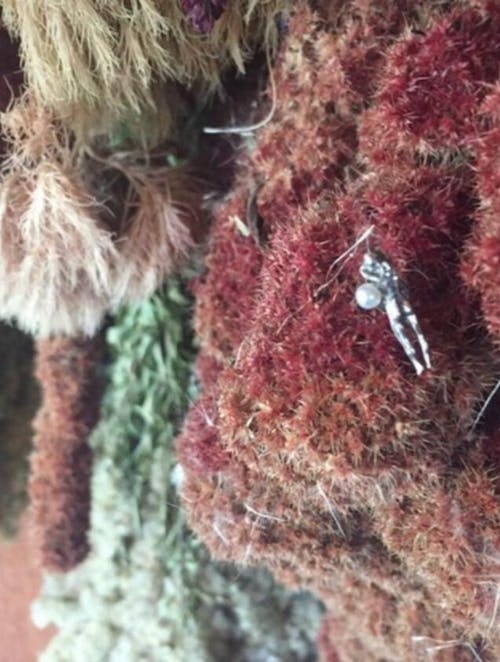 Dream of Pearls & Peace