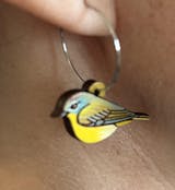 Nashville Warbler Bird Mini Hoops