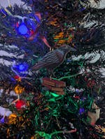 Gothic Raven Ornament