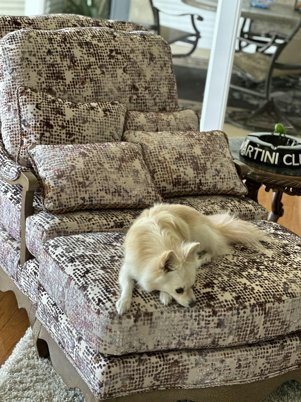 The Fresh Patch Standard 16" x 24" Apartment Dog Grass (Real Grass)