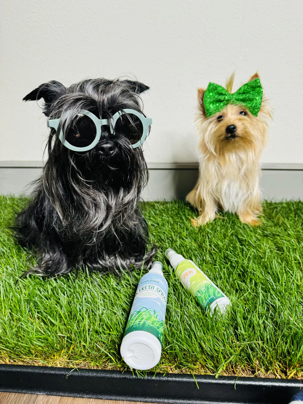GO HERE Dog Potty Spray Fresh Patch go-here-dog-potty-spray-fresh-patch