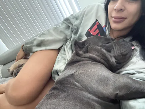 Fresh Patch Training Treats