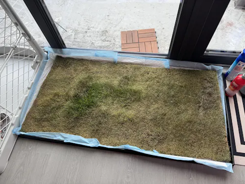 Fresh Patch (Standard)