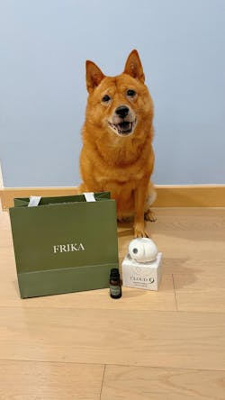 Comfort Zone for Dogs- 舒適區狗狗專用天然香薰精油