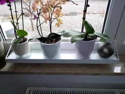 frischluft Fensterbrett