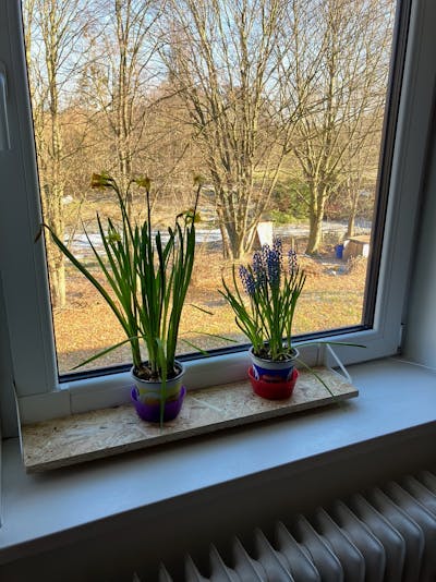 frischluft Fensterbrett