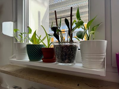 frischluft Fensterbrett