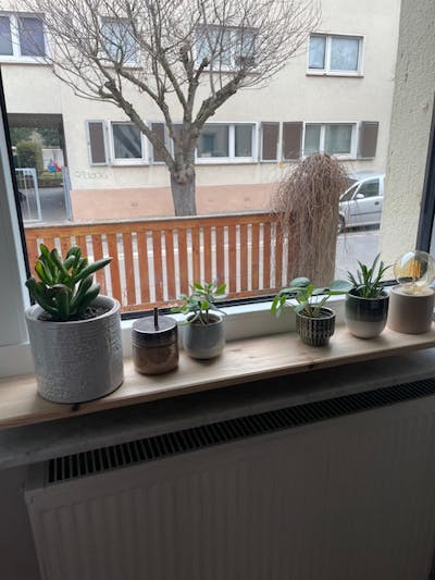 frischluft Fensterbrett