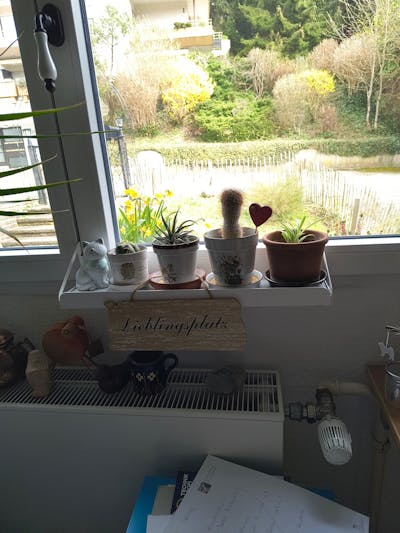 frischluft Fensterbrett